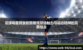 沙滩足球——亚洲杯：中国队不敌日本队